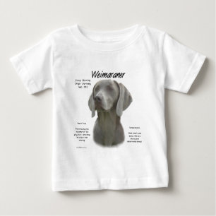 Geschiedenisontwerp weimaraner