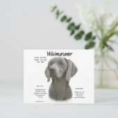 Geschiedenisontwerp weimaraner briefkaart (Staand voorkant)
