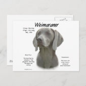 Geschiedenisontwerp weimaraner briefkaart (Voorkant / Achterkant)