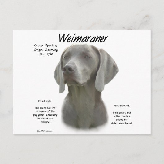 Geschiedenisontwerp weimaraner briefkaart (Voorkant)