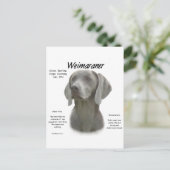 Geschiedenisontwerp weimaraner briefkaart (Staand voorkant)