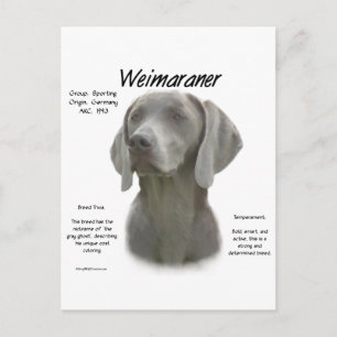 Geschiedenisontwerp weimaraner briefkaart