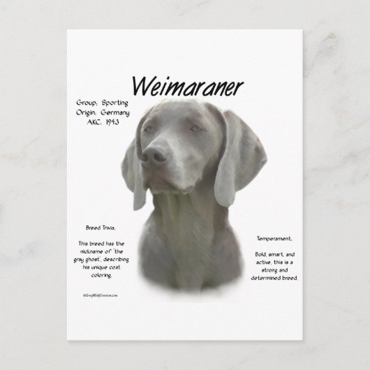 Geschiedenisontwerp weimaraner briefkaart (Voorkant)
