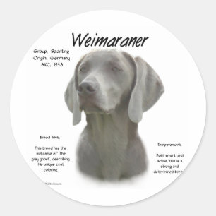Geschiedenisontwerp weimaraner ronde sticker