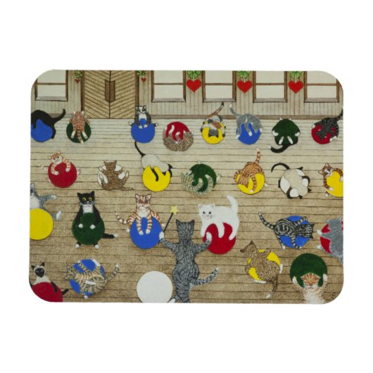 Geschikt blijven magneet (Horizontaal)