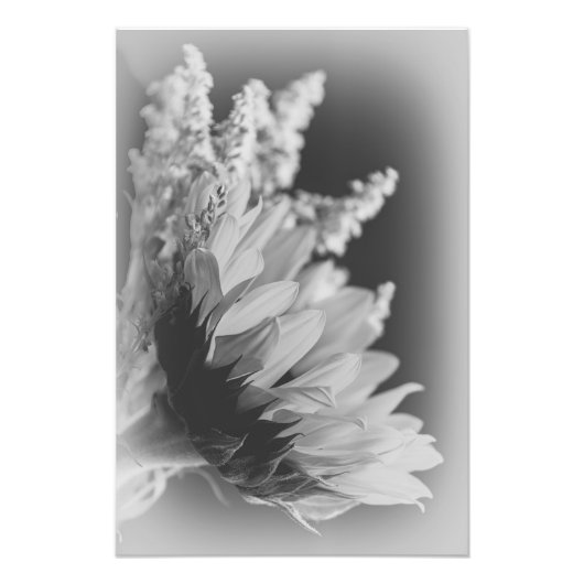 Geschikte contrast 2 foto afdruk (Voorkant)