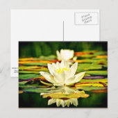 Geschikte pastelgele en witte linten briefkaart (Voorkant / Achterkant)