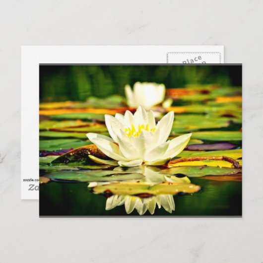 Geschikte pastelgele en witte linten briefkaart (Voorkant / Achterkant)