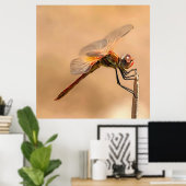 geschilde dragonvlieg, geïsoleerd tegen Ecru Poster (Thuiskantoor)
