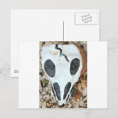 geschilde schedel briefkaart (Voorkant / Achterkant)