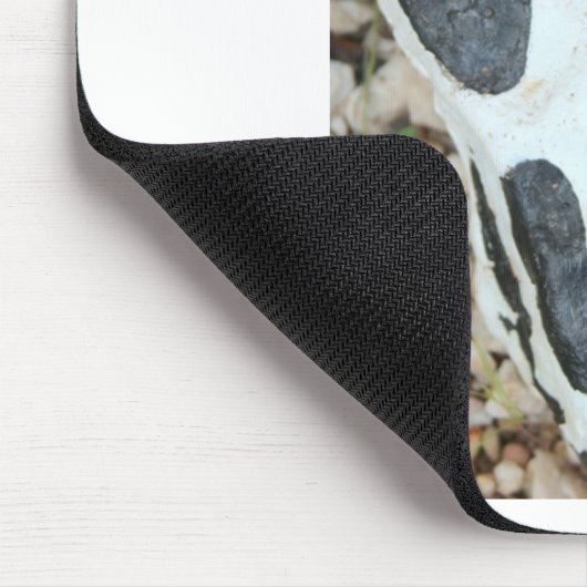 geschilde schedel muismat (Hoek)