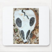 geschilde schedel muismat (Voorkant)