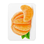 Geschilde tangerine magneet (Verticaal)