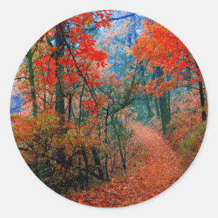 Geschilderd bos herfst vlam aquarel cadeaus ronde sticker