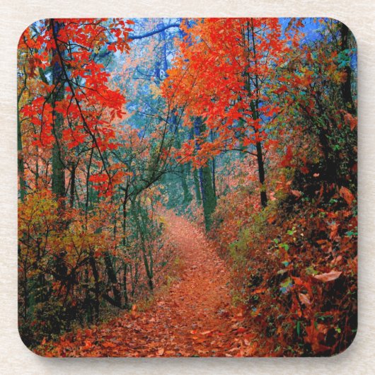 Geschilderd bos herfst vlam aquarel onderzetters (Voorkant)