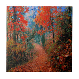 Geschilderd bos herfst vlam aquarel tegel tegeltje