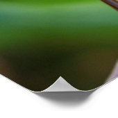 Geschilderd Bunting Poster (Hoek)