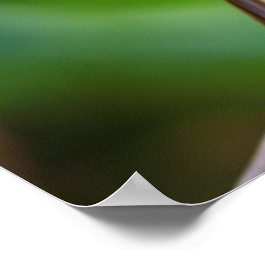 Geschilderd Bunting Poster (Hoek)