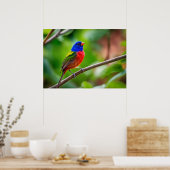 Geschilderd Bunting Poster (Keuken)