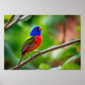 Geschilderd Bunting Poster (Voorkant)