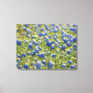 Geschilderd Canvas: Het Gebied van Texas Canvas Afdruk