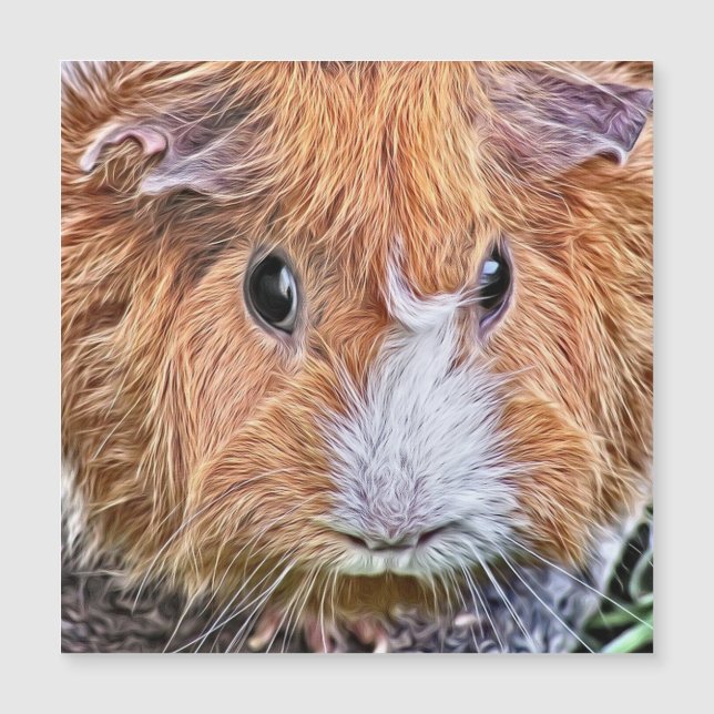geschilderd cavia 5 (Voorkant)