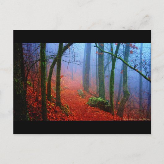 Geschilderd herfstblauw bos mist briefkaart (Voorkant)