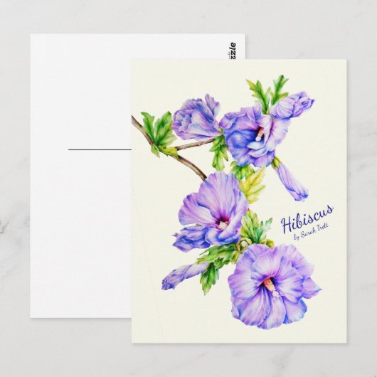 Geschilderd Hibiscus syriacus fine art roos briefk Briefkaart (Voorkant / Achterkant)