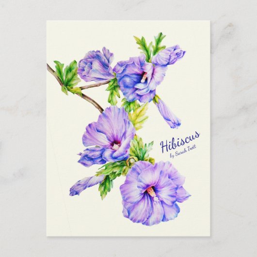 Geschilderd Hibiscus syriacus fine art roos briefk Briefkaart (Voorkant)