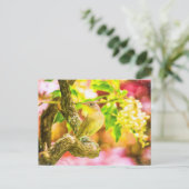 Geschilderd huis Wren Bird Briefkaart (Staand voorkant)