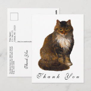 Geschilderd portret van een antieke Maine Coon kat Briefkaart