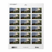 GESCHILDERD SCHILDPAD ADRES/STICKER ETIKET (Full Sheet)