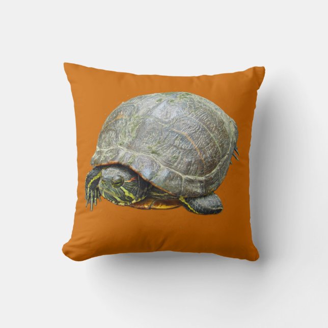 Geschilderd schildpad kussen (Voorkant)