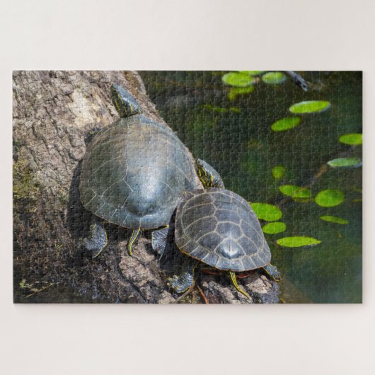Geschilderd Schildpad Paar Legpuzzel (Horizontaal)
