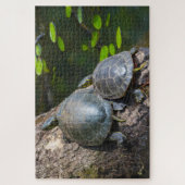 Geschilderd Schildpad Paar Legpuzzel (Verticaal)