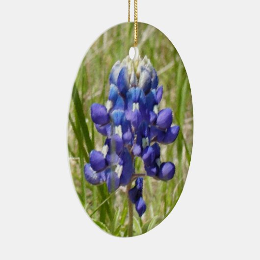 Geschilderd Texas Bluebonnet Ornament (Rechts)