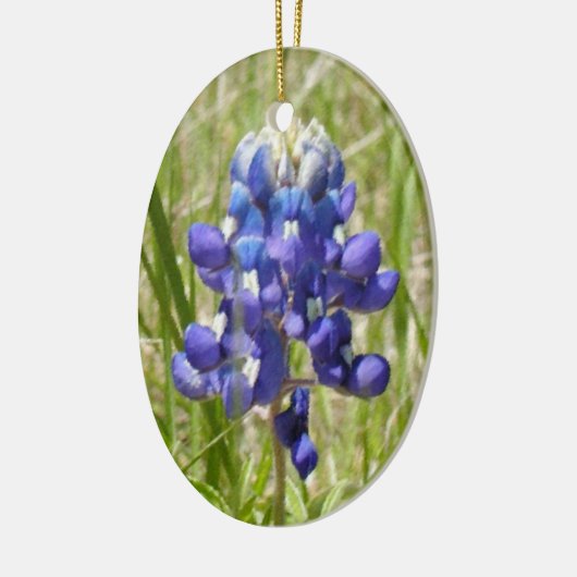 Geschilderd Texas Bluebonnet Ornament (Links)