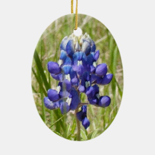 Geschilderd Texas Bluebonnet Ornament (Achterkant)