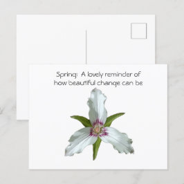 Geschilderd Trillium Spring Wildflower Briefkaart