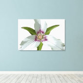 Geschilderd Trillium Spring Wildflower Canvas Prin (Insitu (Houten vloer))