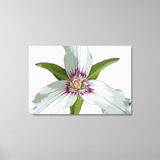 Geschilderd Trillium Spring Wildflower Canvas Prin Afdruk (Voorkant)