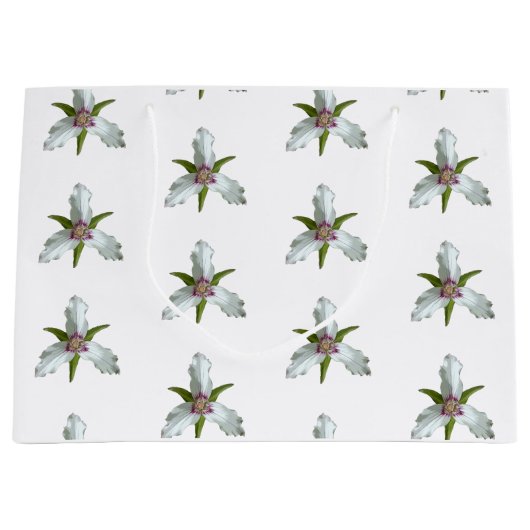 Geschilderd Trillium Spring Wildflower Patroon Groot Cadeauzakje (Voorkant)