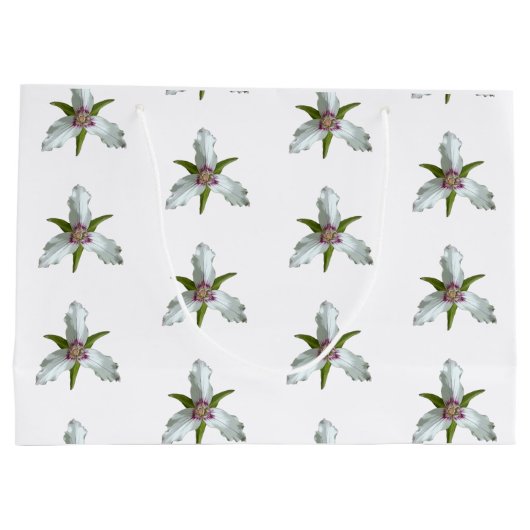 Geschilderd Trillium Spring Wildflower Patroon Groot Cadeauzakje (Achterkant)