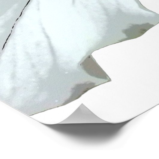 Geschilderd Trillium Spring Wildflower Poster (Hoek)