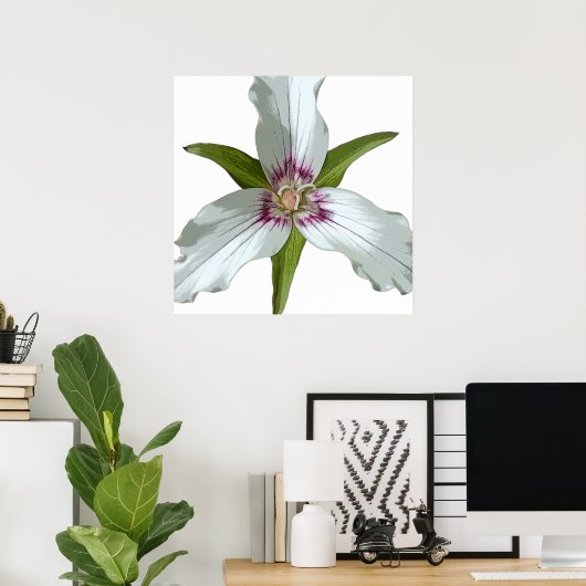 Geschilderd Trillium Spring Wildflower Poster (Thuiskantoor)
