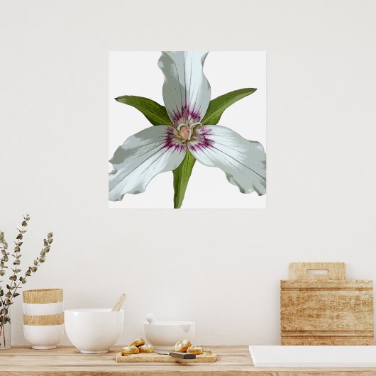 Geschilderd Trillium Spring Wildflower Poster (Keuken)