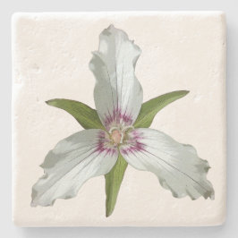 Geschilderd Trillium Spring Wildflower Stone Onder Stenen Onderzetter