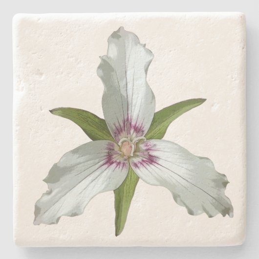 Geschilderd Trillium Spring Wildflower Stone Onder Stenen Onderzetter (Voorkant)