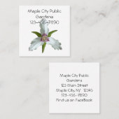 Geschilderd Trillium Spring Wildflower Visitekaart Vierkante Visitekaartje (Voorkant / Achterkant)