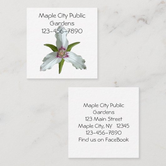 Geschilderd Trillium Spring Wildflower Visitekaart Vierkante Visitekaartje (Voorkant / Achterkant)
